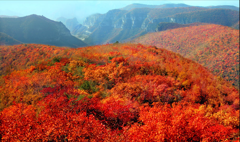 һ�������ʲô