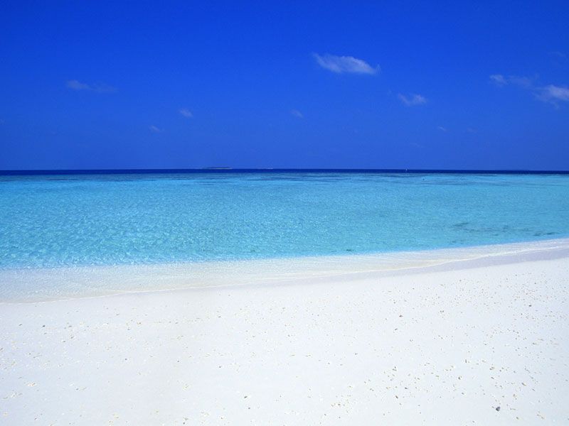 �����һ�������ɳ���������