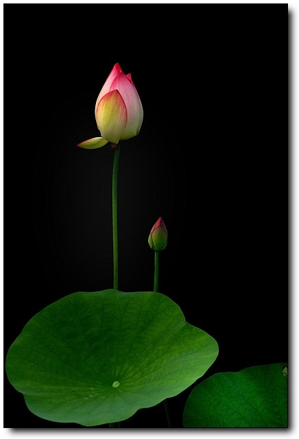 �������ǻ��ǽ���Ե�����Ե