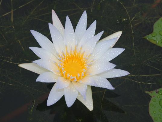 ��󷽷��޸���