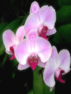 ������֮����