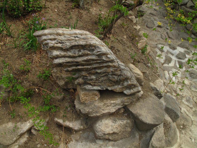 方丈门前的绊脚石 方丈门前的绊脚石