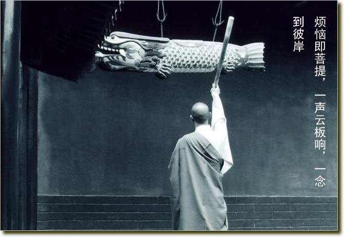 ��ѧ��˵����Ϊ��δ��