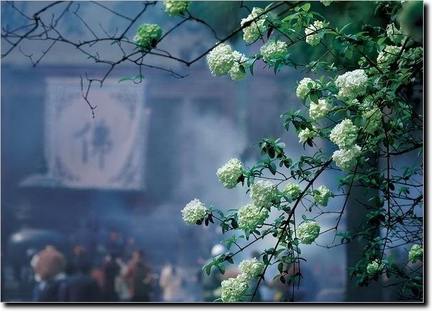 ��ѧ��˵�����Լ������Լ�