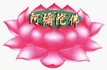 ���ܳ��ϣ�������ɷ��������ء������������