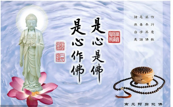 ��Ⱥ��ʦ���ֻص���������ǵ���