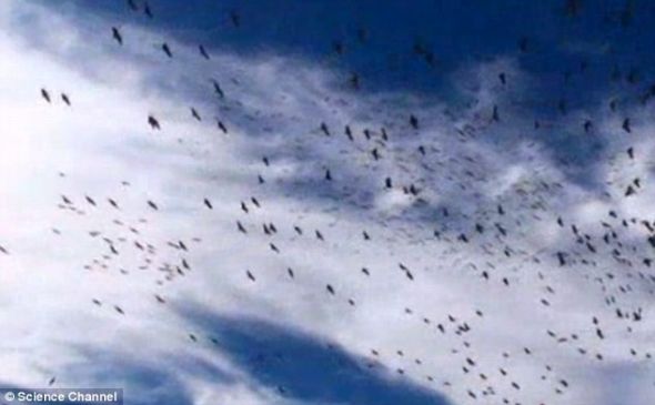 哈默罗夫认为有关量子物理学在生物学过程中所扮演角色的新研究发现将在未来的某一天证明他的理论 哈默罗夫认为有关量子物理学在生物学过程中所扮演角色的新研究发现将在未来的某一天证明他的理论