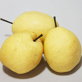 ��ʳ�������＾������ʲô������������״Ԫ��