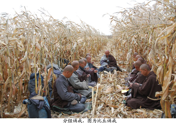 �𺳵��в����顢��ʤ�ĳ��������䴫�䡢��ʿ�����䴫�䷨��