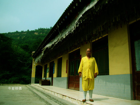 ��ѩ�ɣ���״Ԫ������