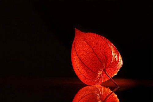 ���Ĳ����ܾ����������ܾ�����