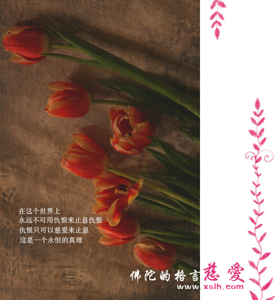 佛陀的醒世格言 佛陀的醒世格言