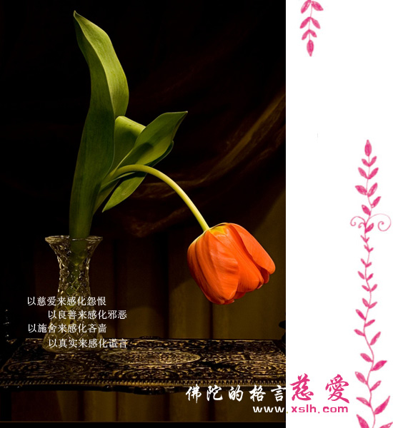 佛陀的醒世格言 佛陀的醒世格言