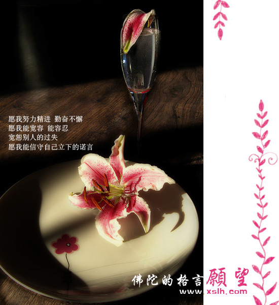 佛陀的醒世格言 佛陀的醒世格言