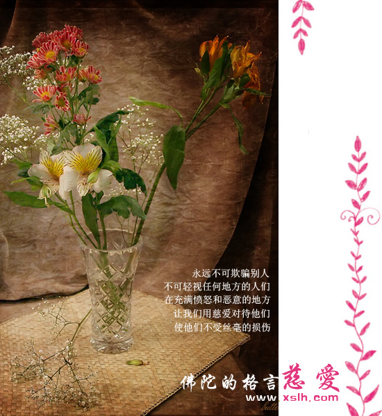 佛陀的醒世格言 佛陀的醒世格言