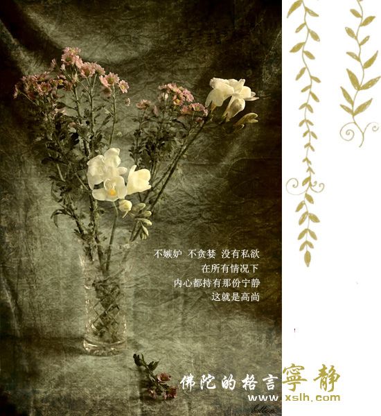 佛陀的醒世格言 佛陀的醒世格言