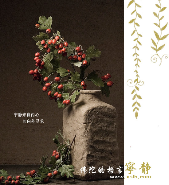 佛陀的醒世格言 佛陀的醒世格言