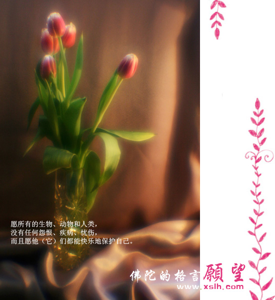 佛陀的醒世格言 佛陀的醒世格言