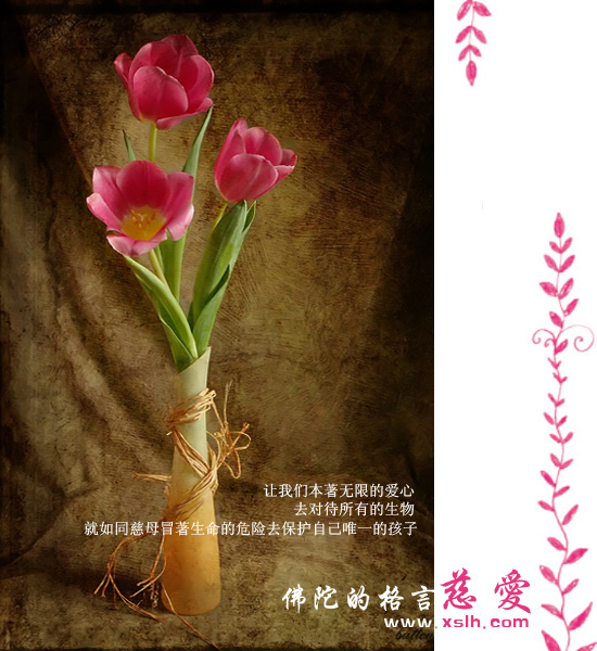 佛陀的醒世格言 佛陀的醒世格言