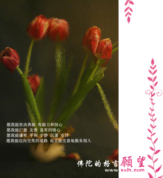 佛陀的醒世格言 佛陀的醒世格言