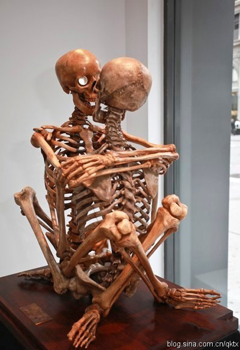 �����మ����ÿ������������������󲻵ý���