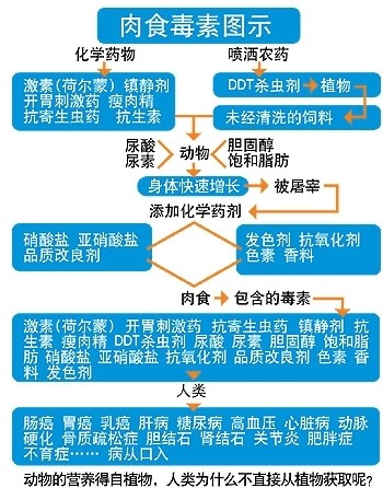 看完此篇,您还能吃得下肉吗? 看完此篇,您还能吃得下肉吗?