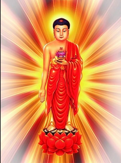 ������ʦ����һ��ʦ�����Ӿ���˼���̽