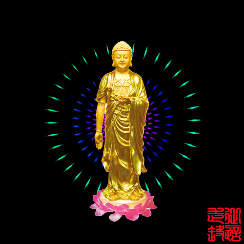 �����Ӵ��ۣ��������ຣ