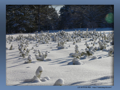 ���濰��������͵���Ĺ���