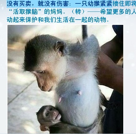 ��ҿ�����������ͼƬ���������ǵĴȱ��ģ�