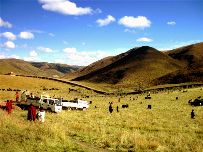 达真堪布:深信因果,次第修学 达真堪布:深信因果,次第修学