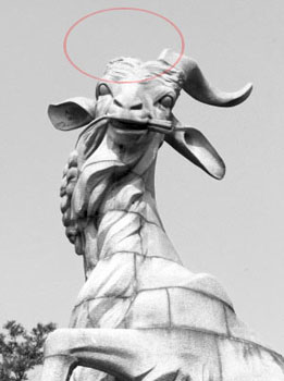 ��ʳ�Ļ������뺺�־������룬������ֲ���������