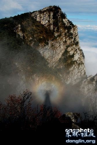 ®ɽ��������߰����ӷ��񣬶�γ��ַ������