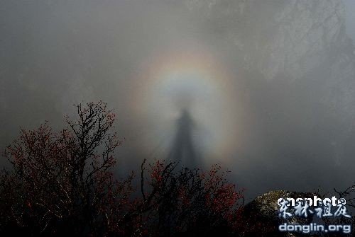 ®ɽ��������߰����ӷ��񣬶�γ��ַ������