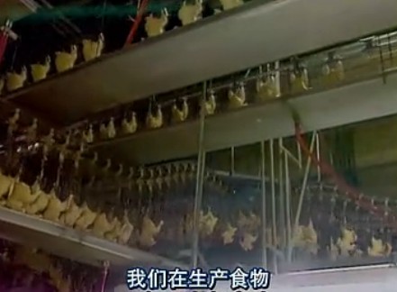 ��¼Ƭ��ʳƷ��˾[Food_Inc]-�ҿ�ʳ����Դ��Ļ��