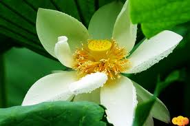 �������ˣ�����һ�����밡����©�ľͶ��ˣ�