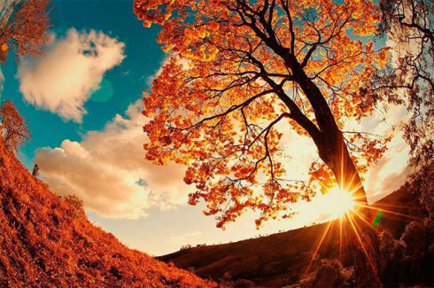 达真堪布:怎样在工作中修行 达真堪布:怎样在工作中修行