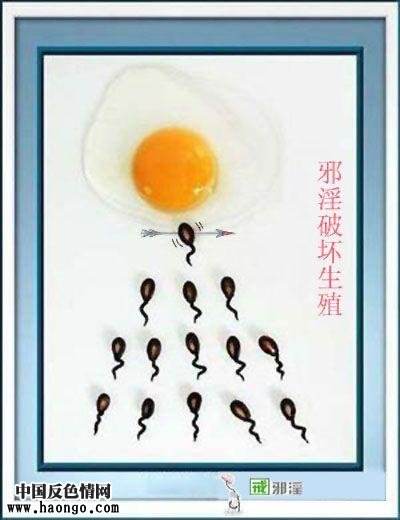 图片文字解答关于手淫等等问题(揭开真相,大力推荐!) 图片文字解答关于手淫等等问题(揭开真相,大力推荐!)