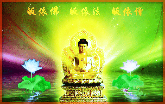 Т�����֪���