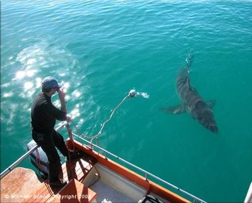 �������Ĵ����֪��ͼ��