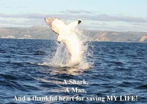 �������Ĵ����֪��ͼ��