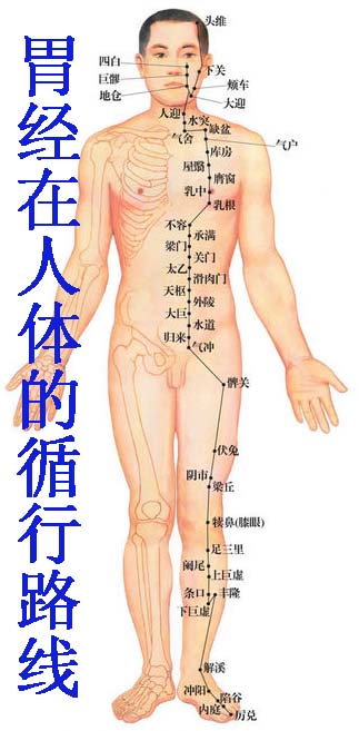 ĪС�����������Ҫ�ԡ����������������������