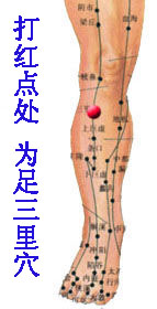 ĪС�����������Ҫ�ԡ����������������������