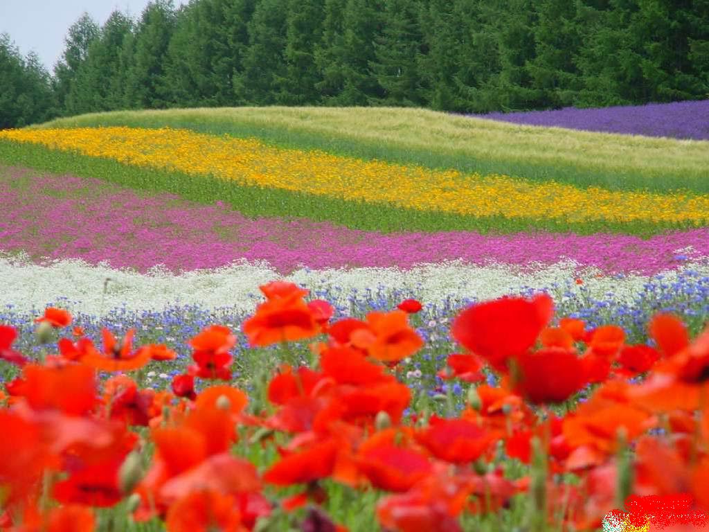 ���濰��������������