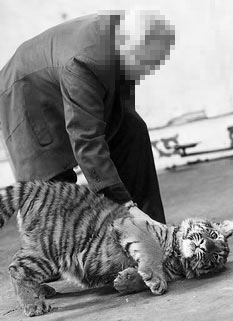 ֻ����5�걻����ݲ��������ϻ������ס�