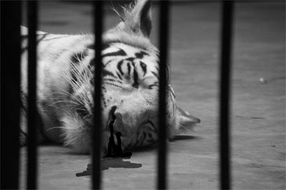 ֻ����5�걻����ݲ��������ϻ������ס�