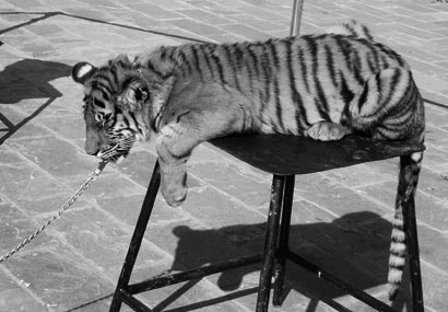 ֻ����5�걻����ݲ��������ϻ������ס�