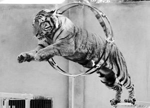 ֻ����5�걻����ݲ��������ϻ������ס�