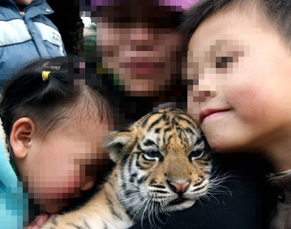 ֻ����5�걻����ݲ��������ϻ������ס�