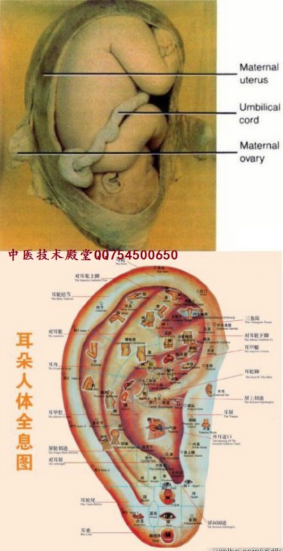 ���䱾�������أ�˭��˭ǿ׳��Խ��Խ����